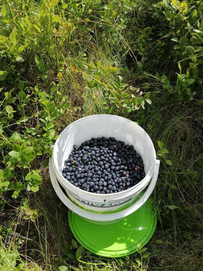 فوروختا Котедж Віадук المظهر الخارجي الصورة